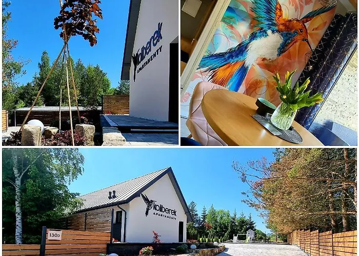 Koliberek * 波兰尼卡-兹德鲁伊